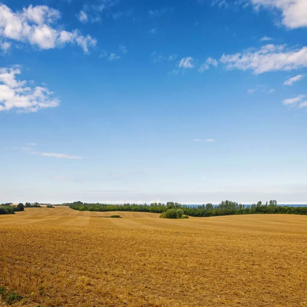 PMD Agricultural Land