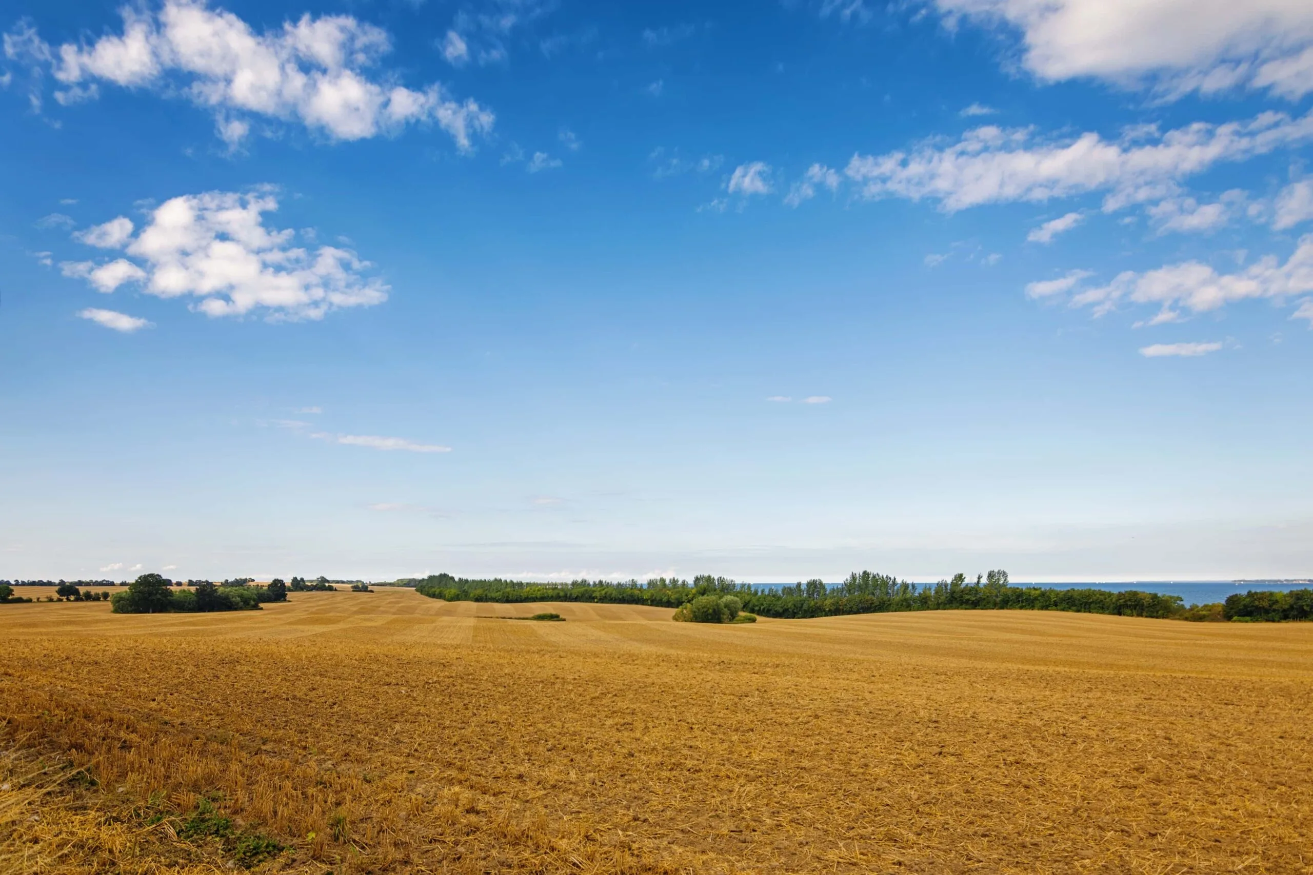 PMD Agricultural Land