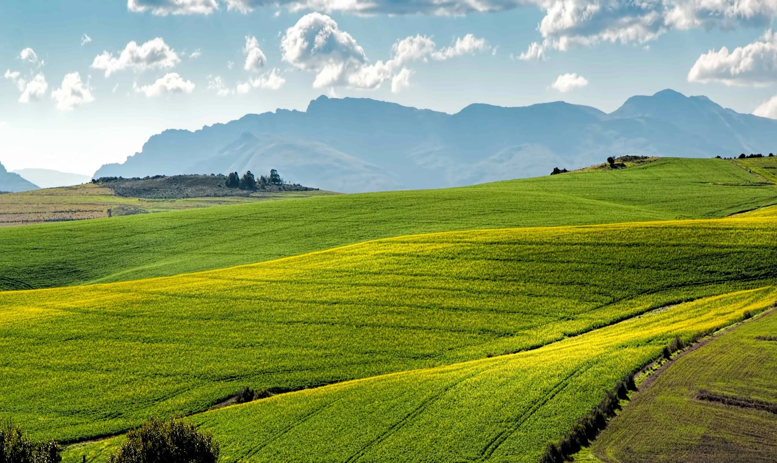 PMD Agricultural Land