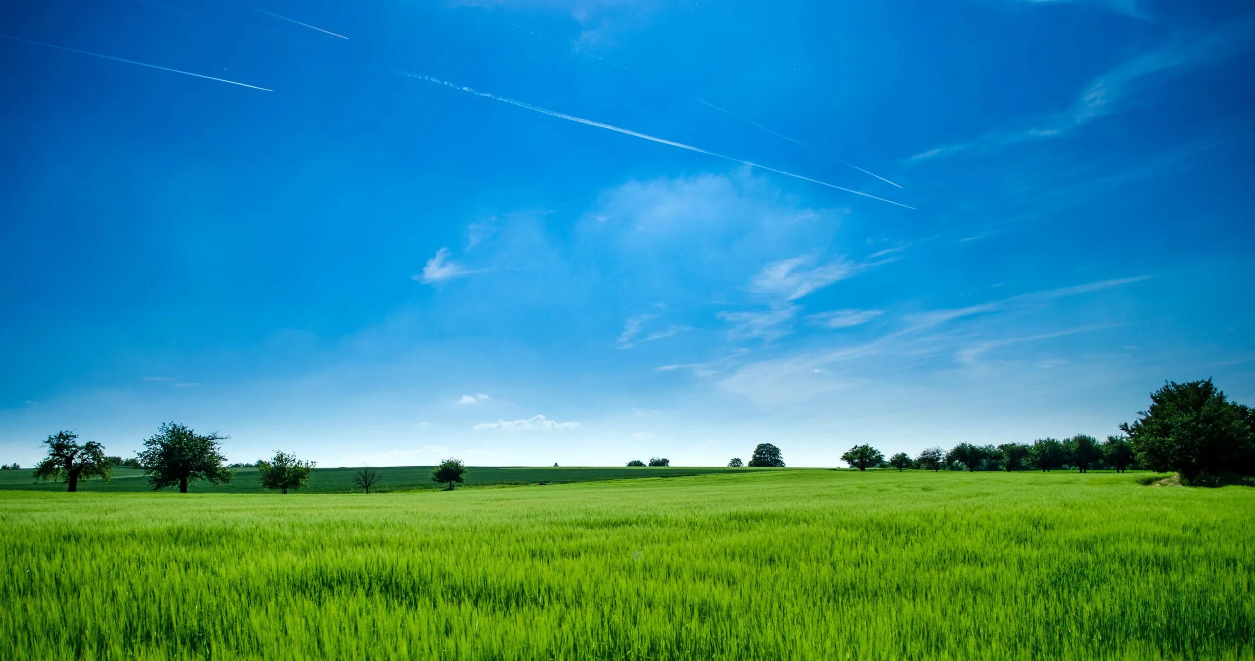 PMD Agricultural Land