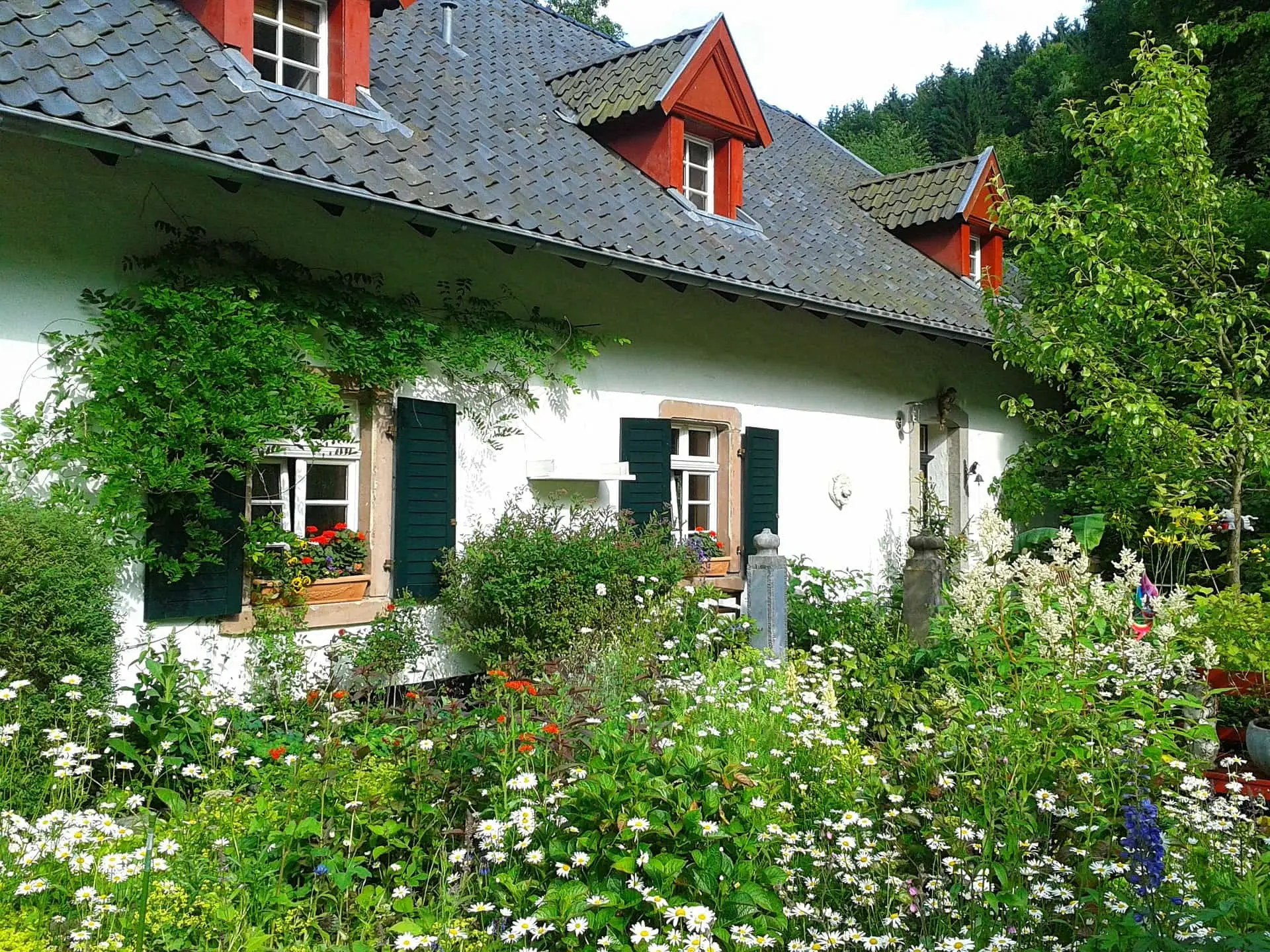 PMD Farm House
